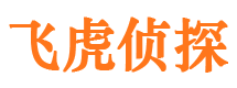 鹤山市婚外情调查